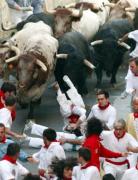 Bull Run.jpg